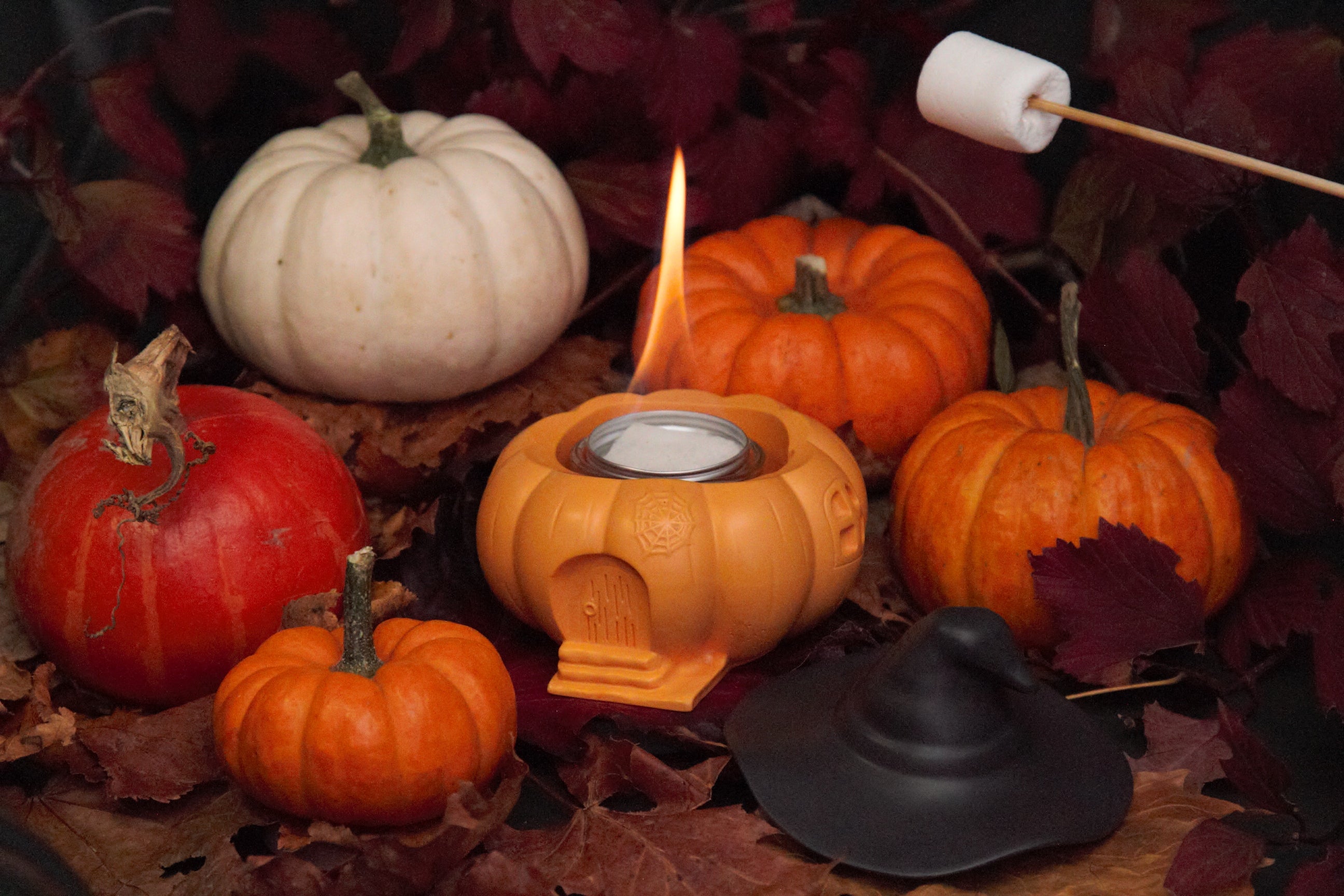 Marshmallow Toasting Pit