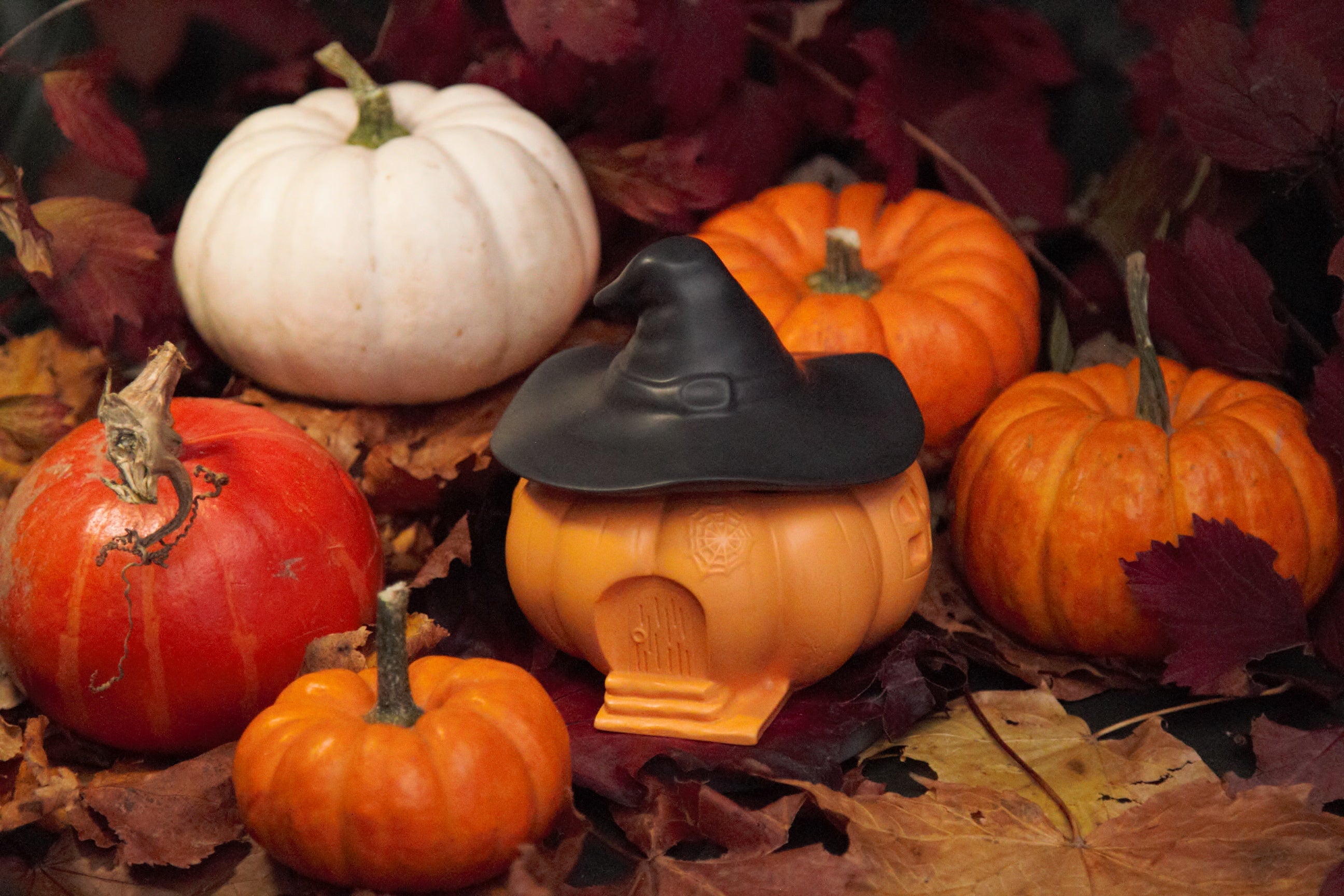 Marshmallow Toasting Pit